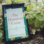 Book cover for The Hunsford Curse